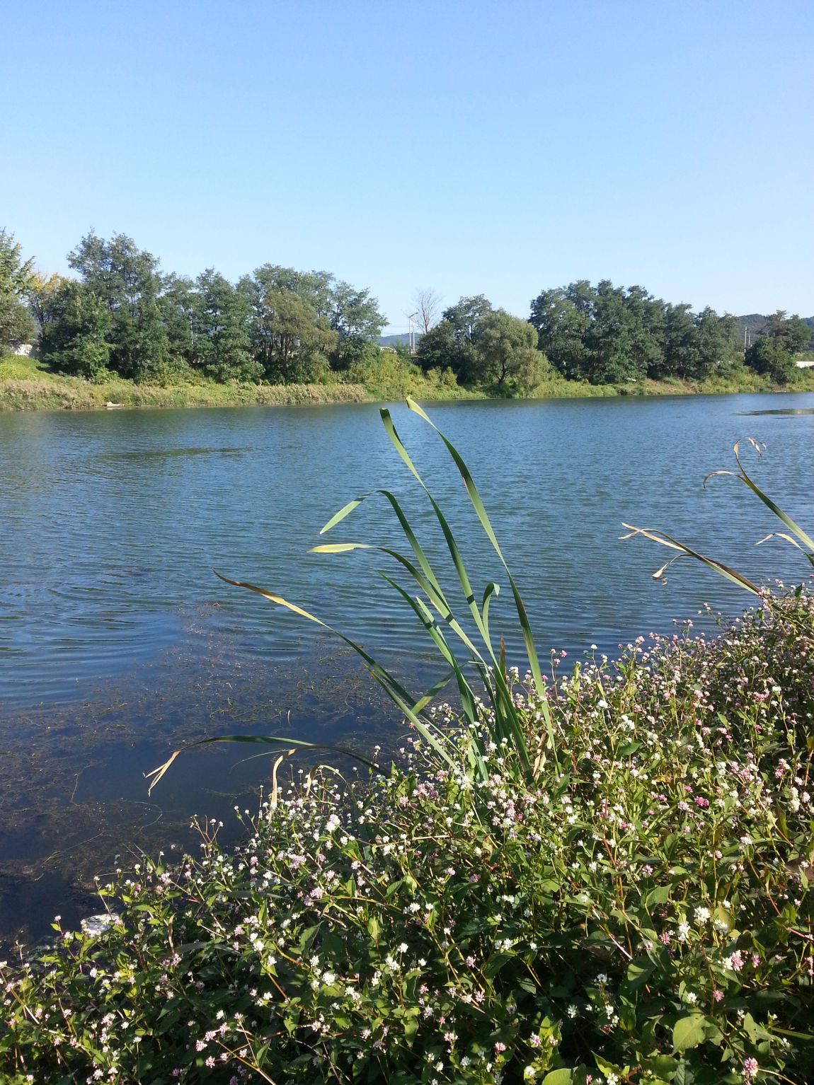 20140920_152249.jpg
