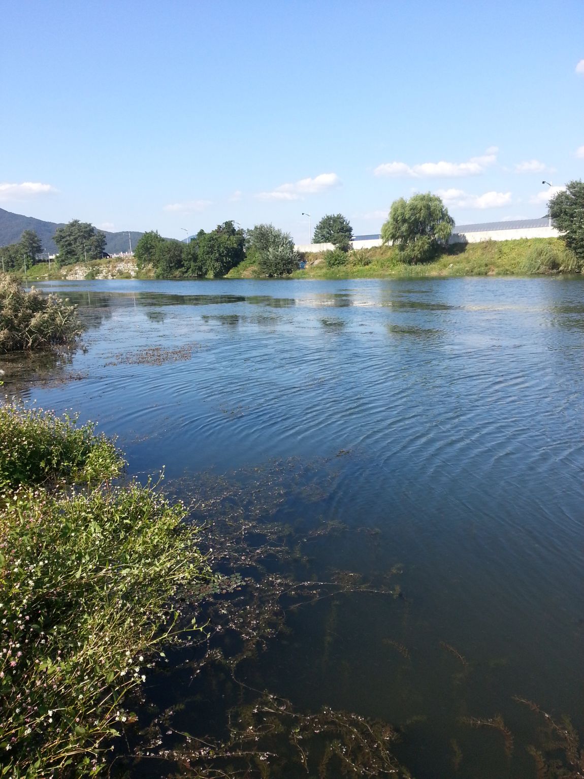20140920_152252.jpg