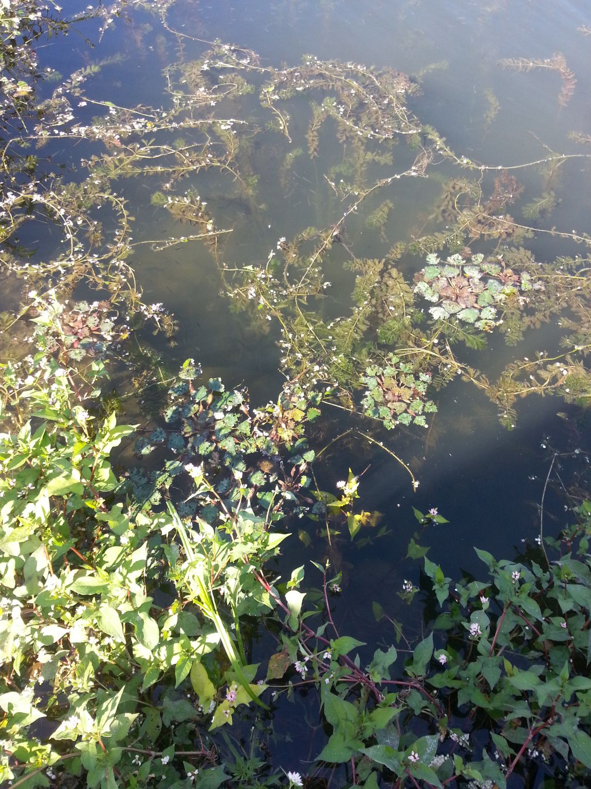 20140920_152258.jpg
