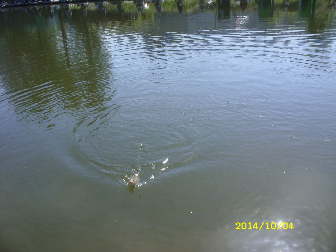 SDC12239.JPG