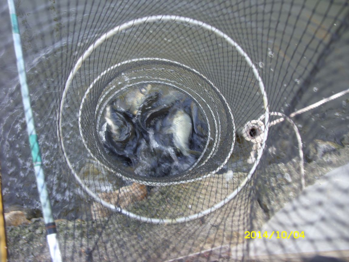 SDC12221.JPG