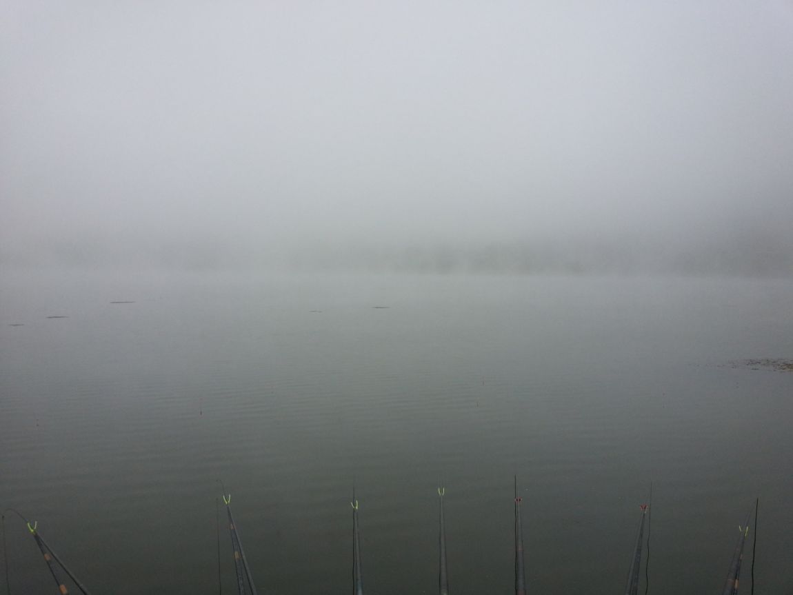 20141009_071125.jpg