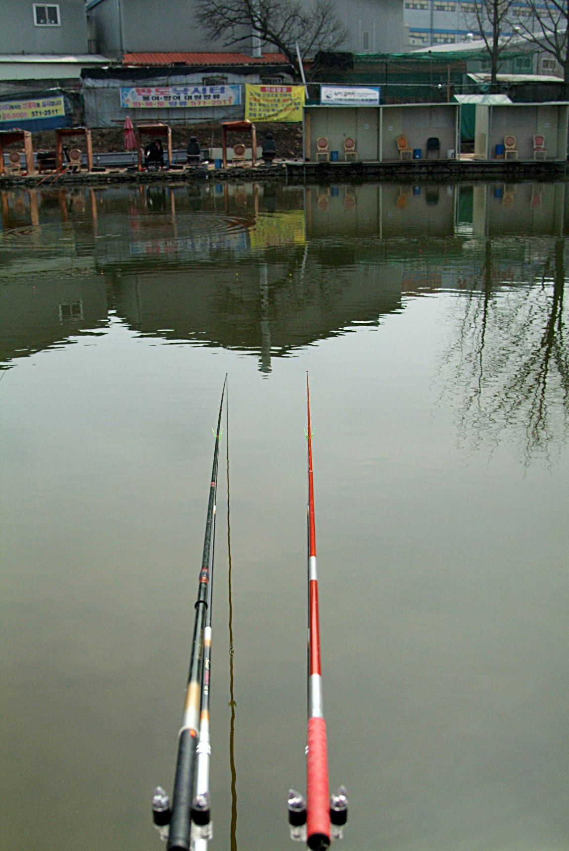 DSCF0251.JPG