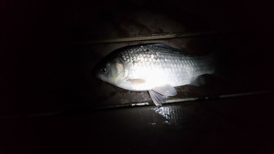 20150515_211119.jpg