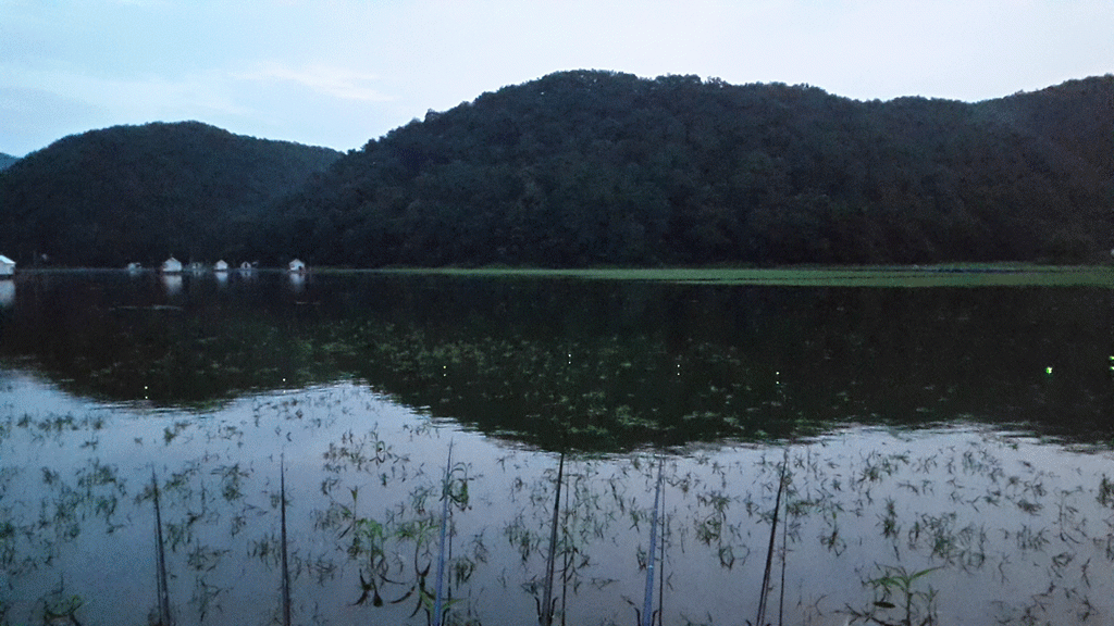3.gif