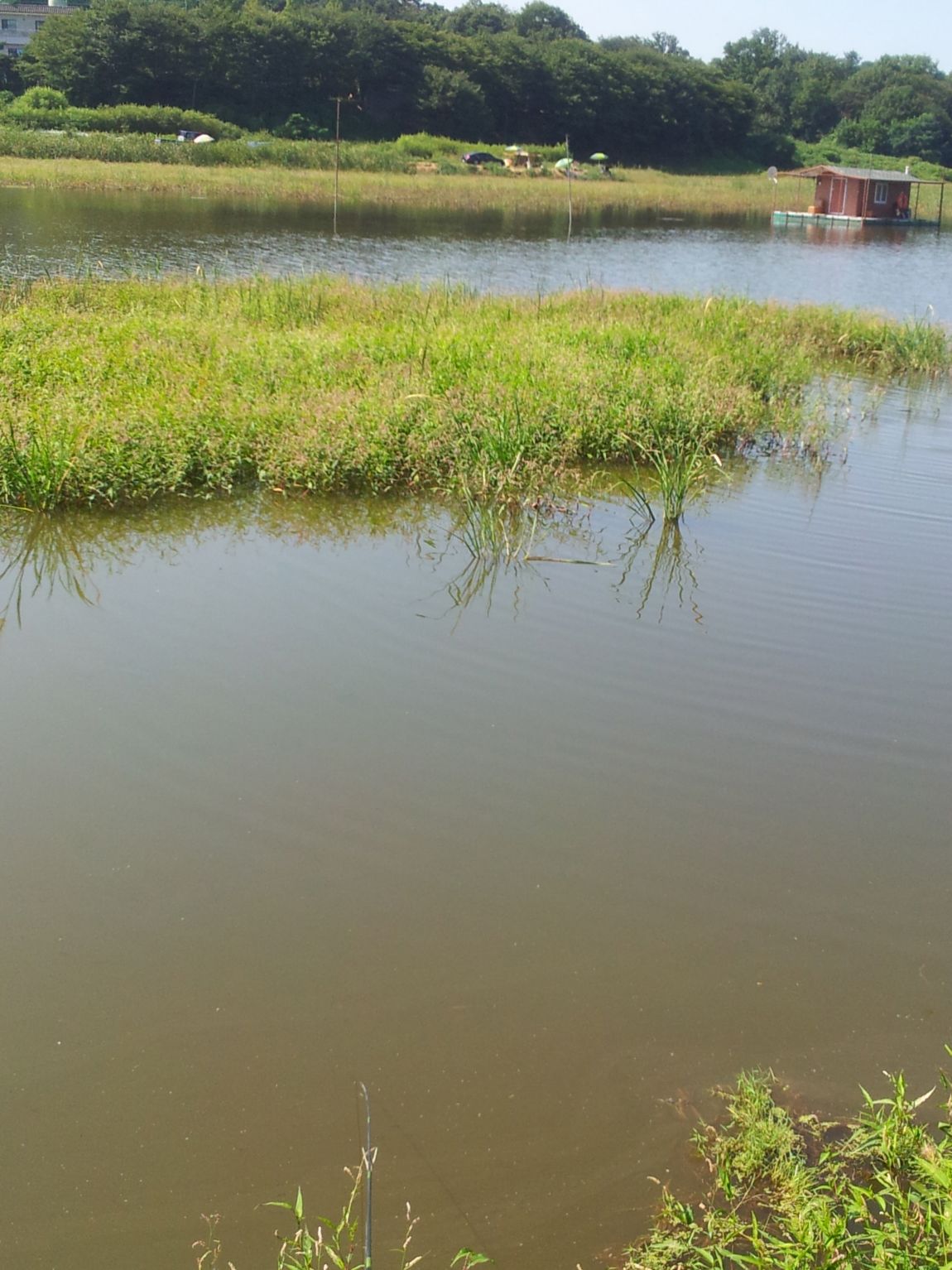 20150910_103558.jpg