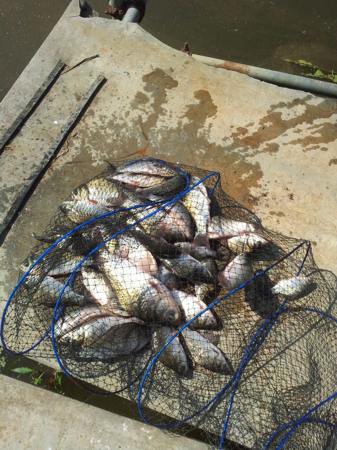20150910_103846.jpg