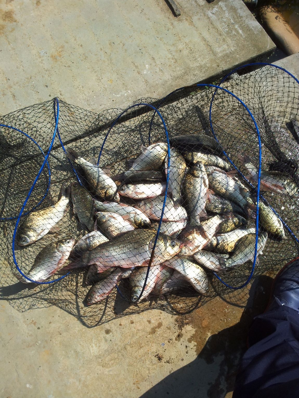 20150910_103913.jpg