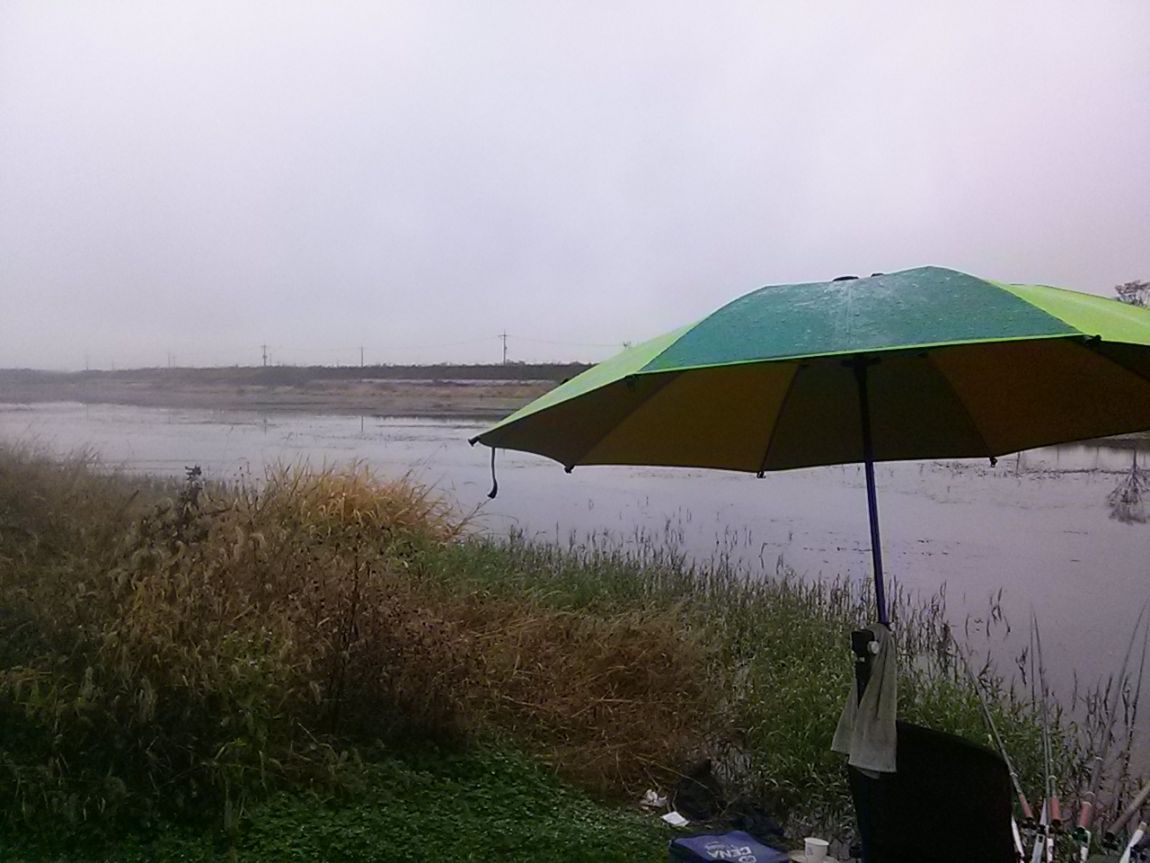 CAM00537.jpg
