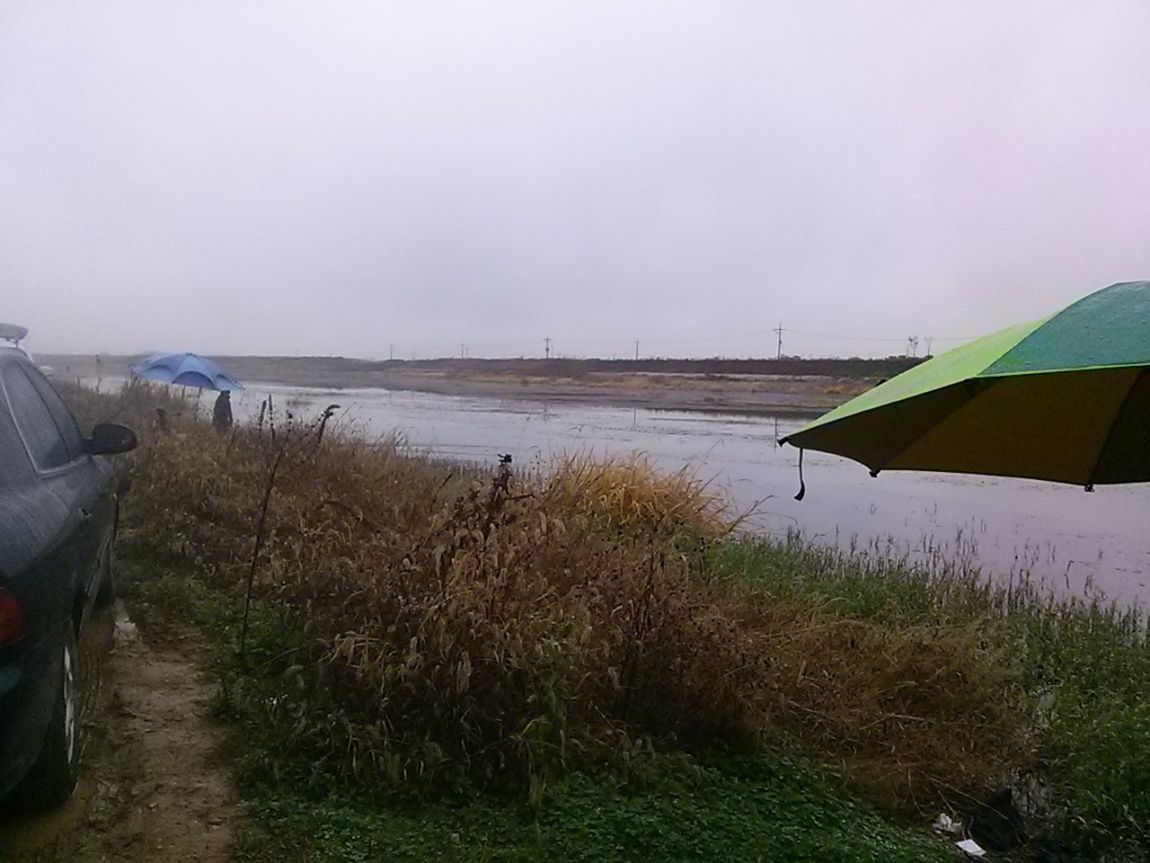 CAM00538.jpg