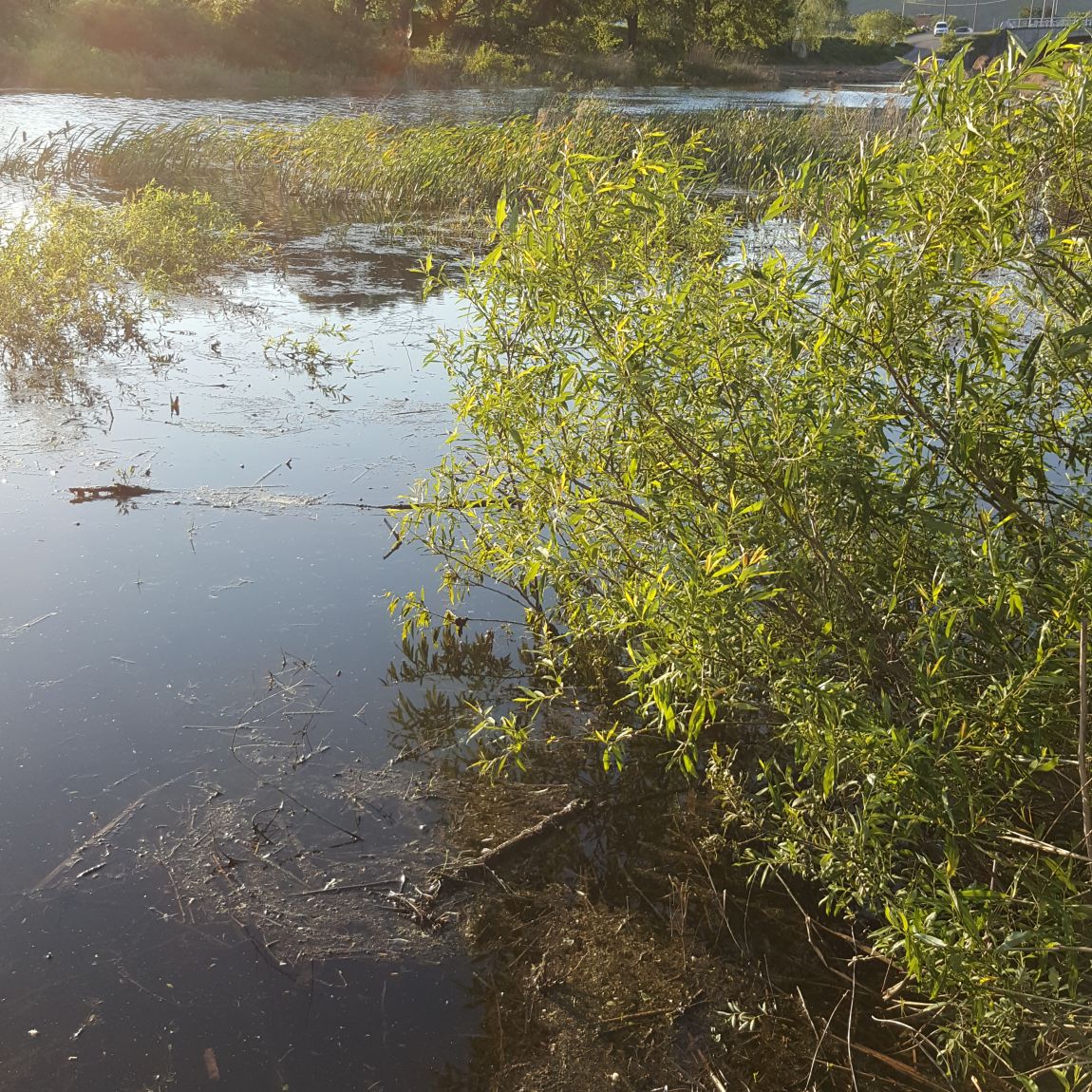 ��������5��5~8�� 015.jpg