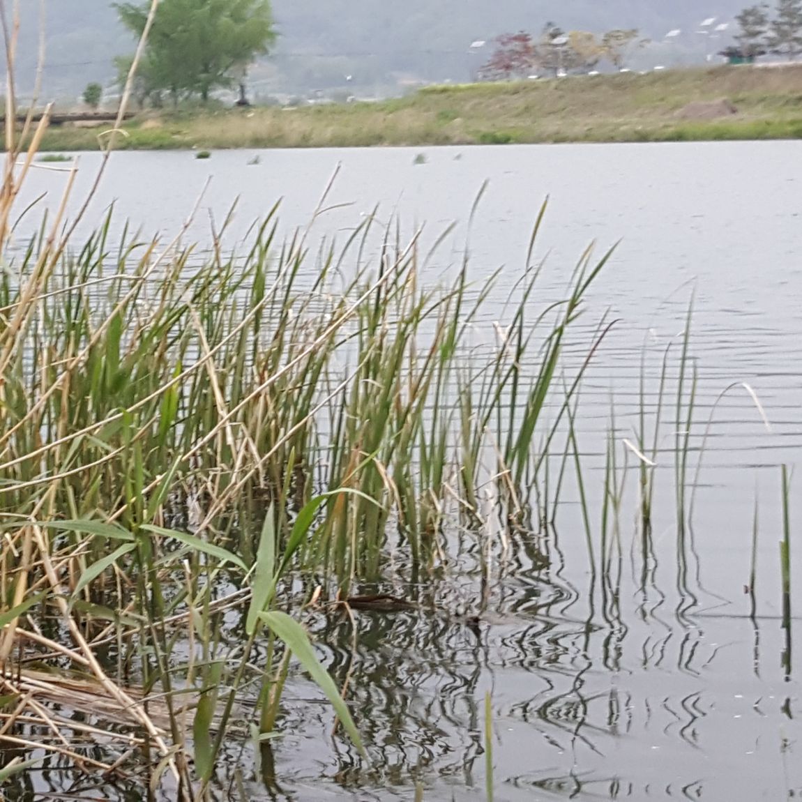 ��������5��5~8�� 094.jpg