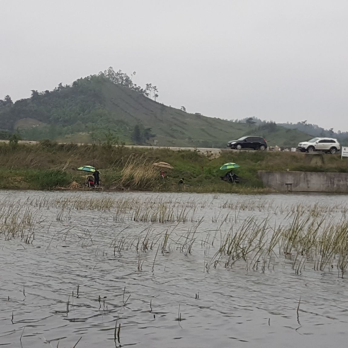 ��������5��5~8�� 095.jpg