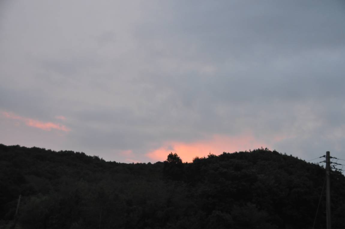 DSC_0019.JPG