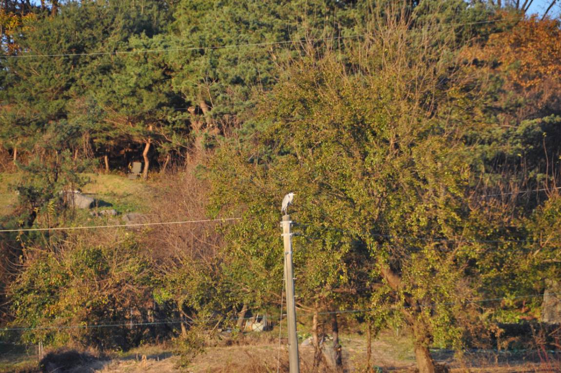 DSC_0011.JPG