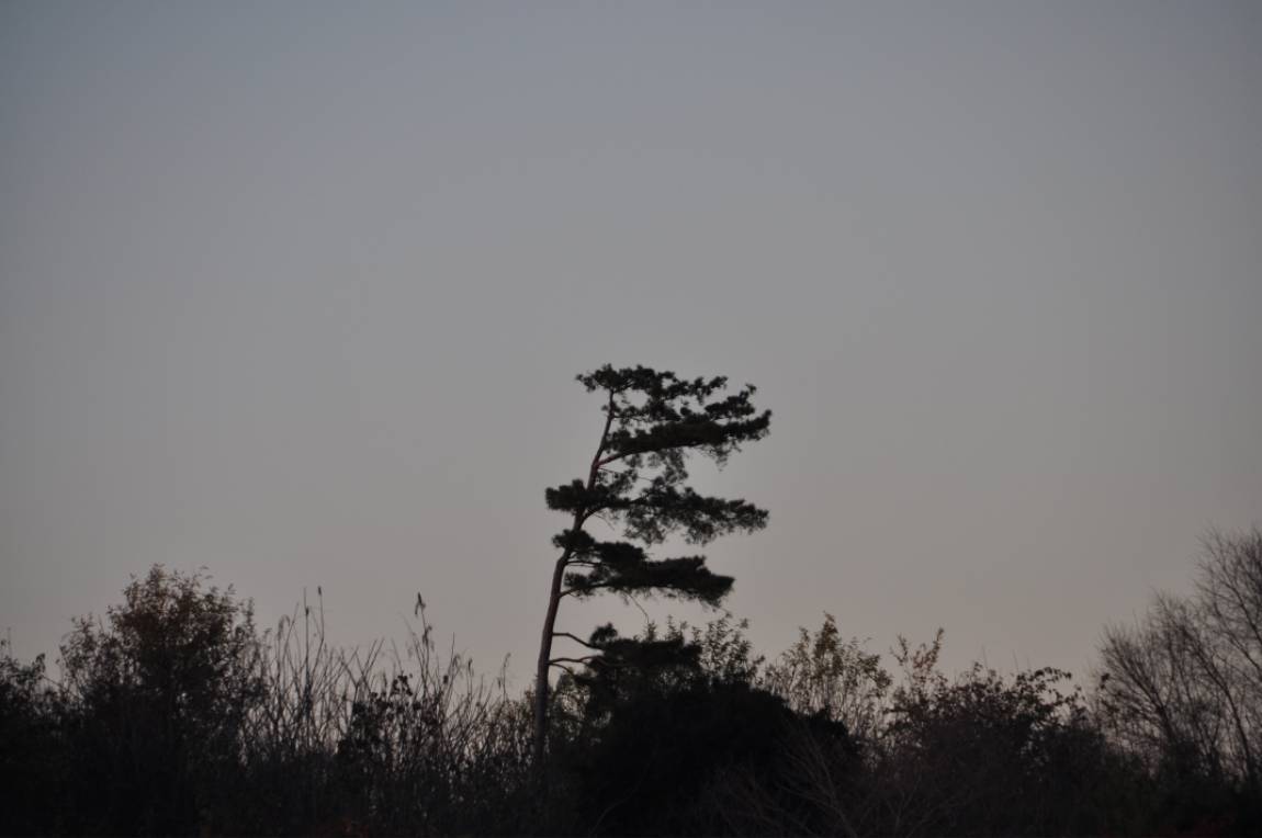 DSC_0012.JPG