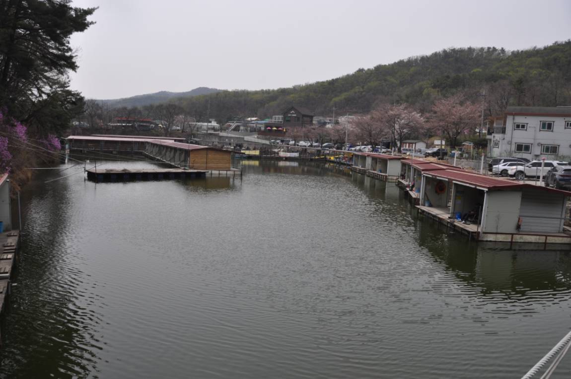 빨간풍차 > 동교 낚시터 이만 하면 대박 : 낚시사랑