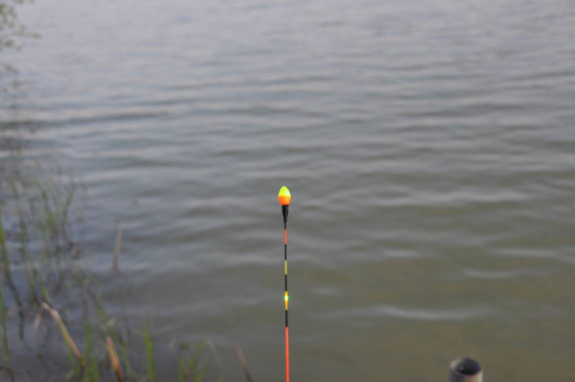 DSC_0036.JPG