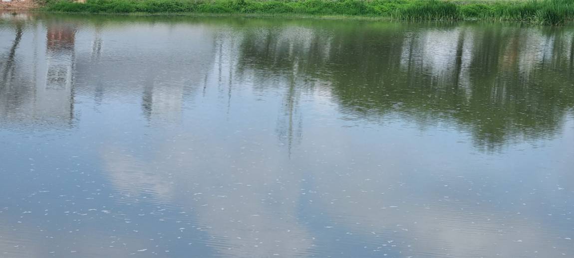 20250615_092851.jpg