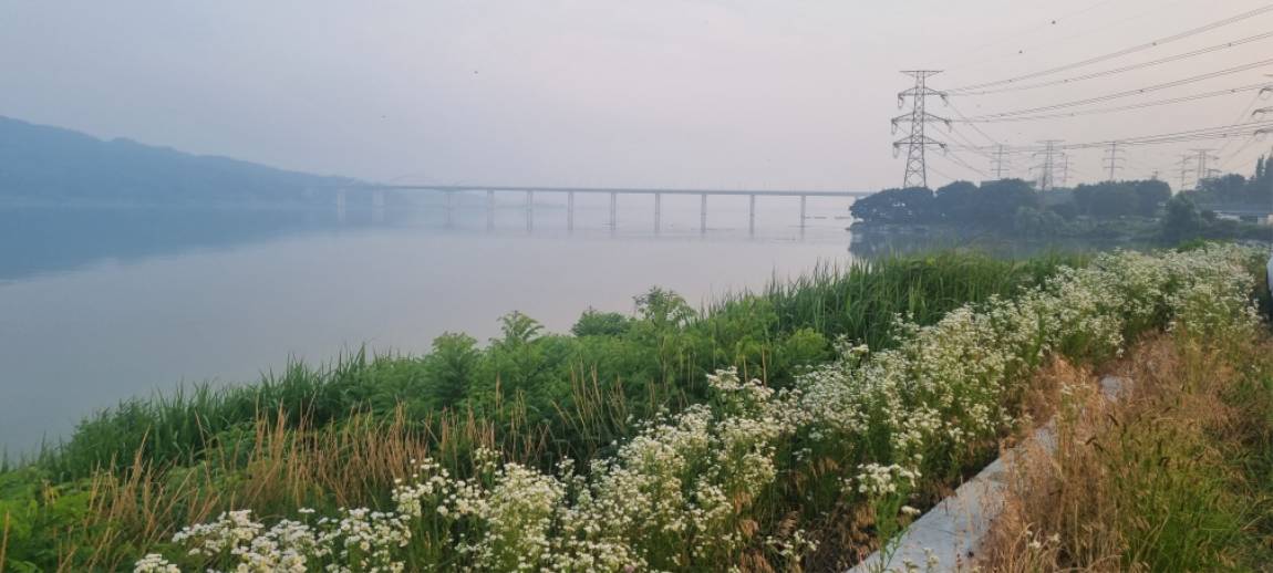 20250619_055251.jpg
