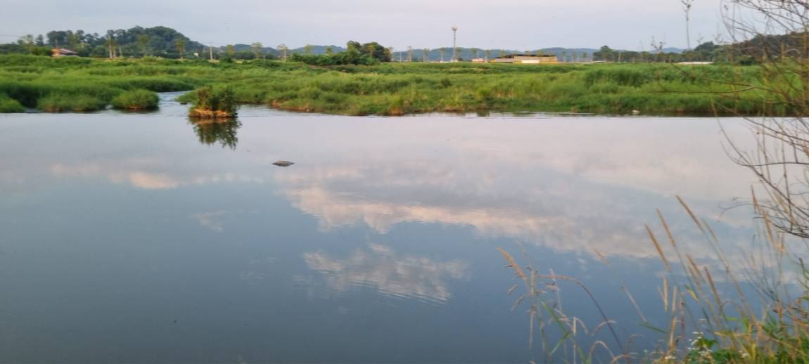 20250704_191631.jpg