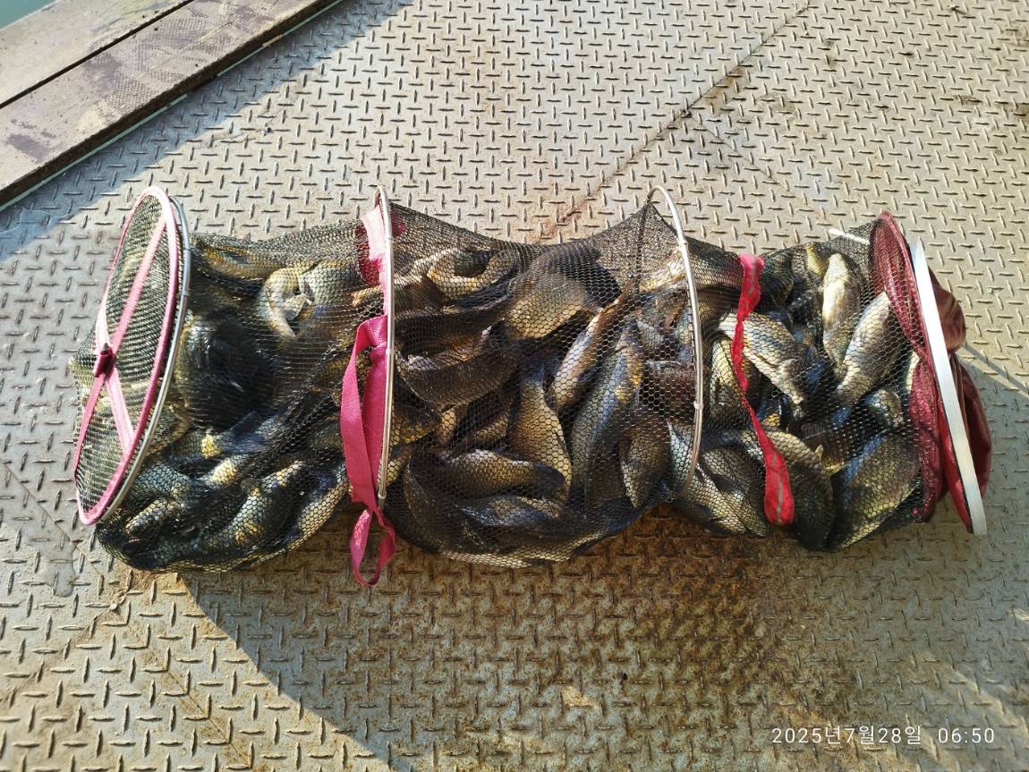 KakaoTalk_20250728_095900479.jpg