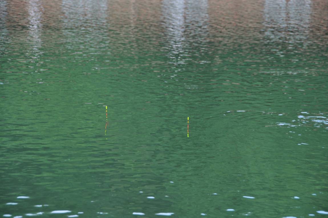 DSC_0064.JPG
