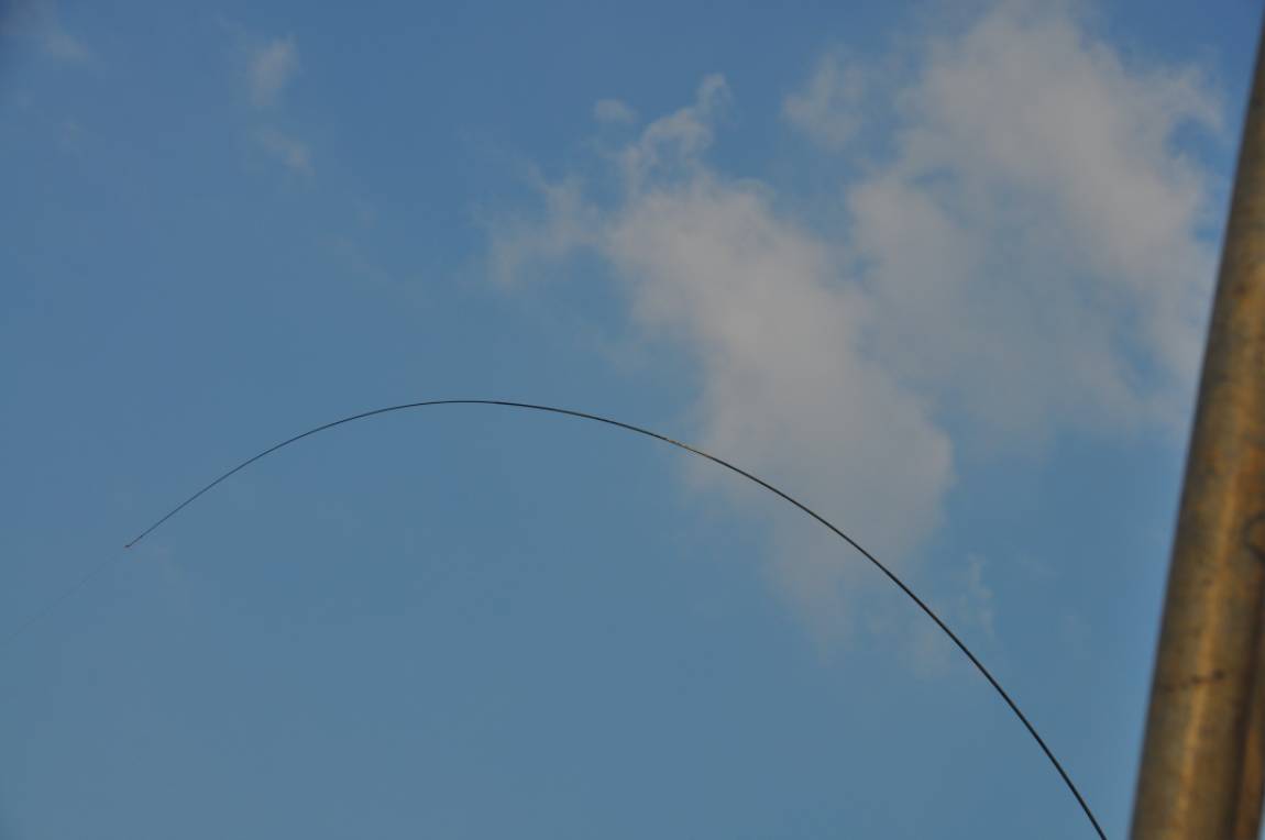 DSC_0068.JPG