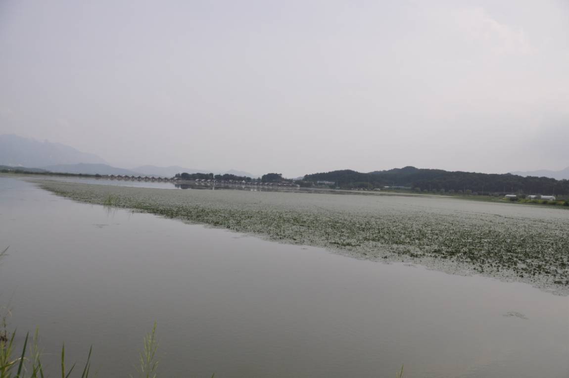 DSC_0043.JPG