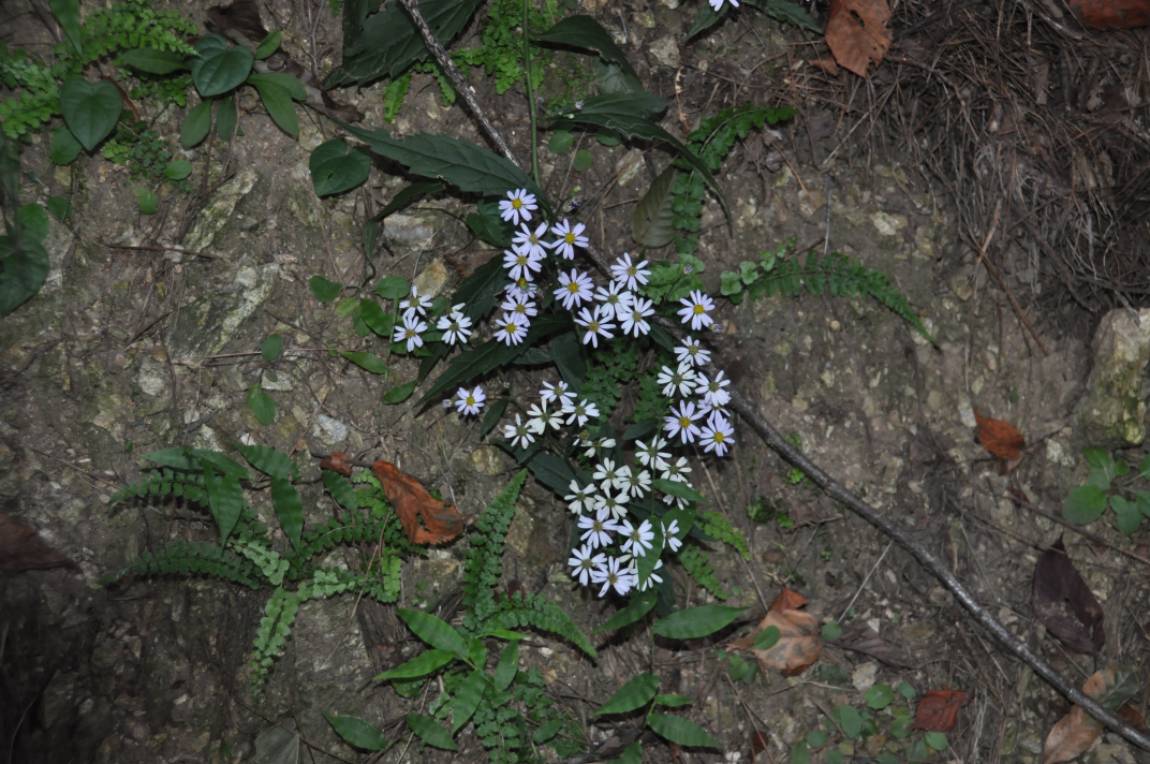 DSC_0025.JPG