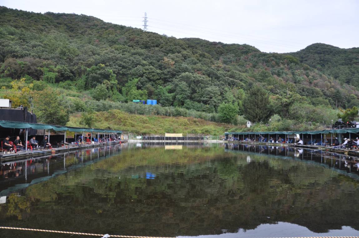DSC_0056.JPG