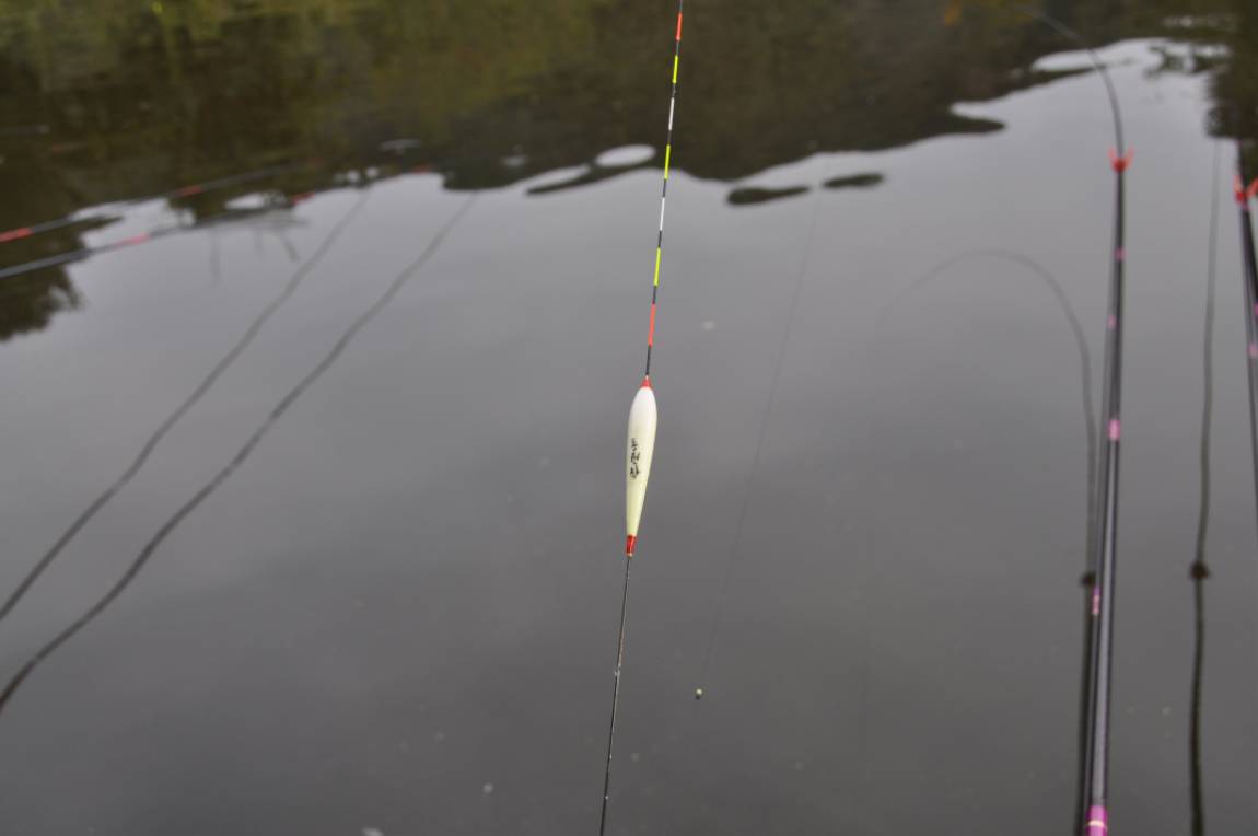 DSC_0059.JPG
