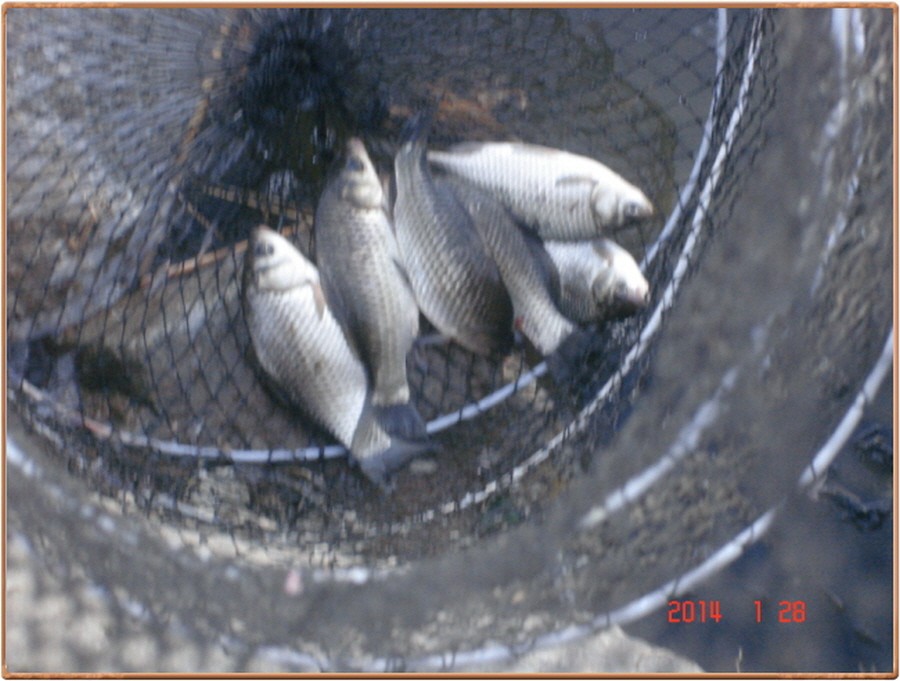 603��ī 009.jpg