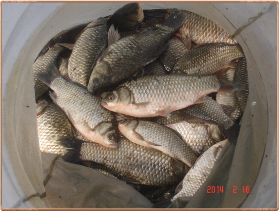 603��ī 007.jpg