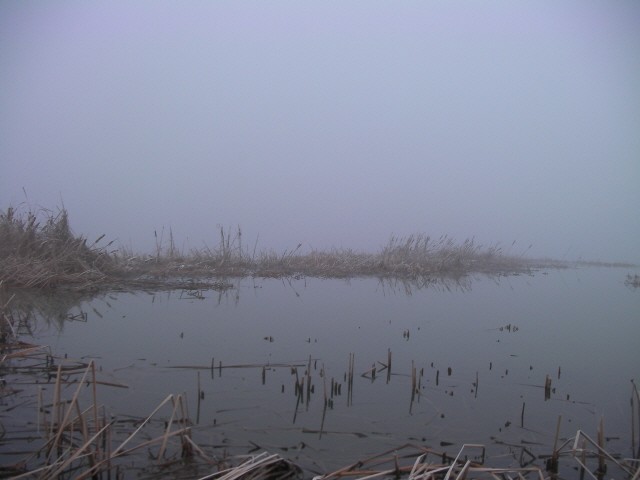 ũ�⺯ȯ_SANY0082.JPG