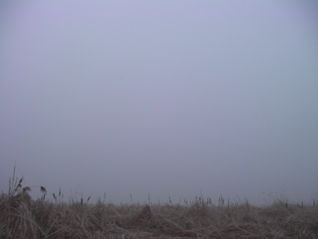 ũ�⺯ȯ_SANY0083.JPG