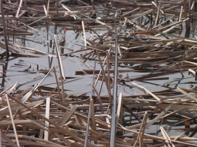 ũ�⺯ȯ_SANY0086.JPG