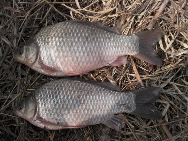 ũ�⺯ȯ_SANY0088.JPG