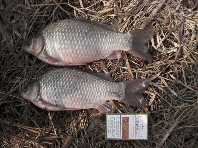 ũ�⺯ȯ_SANY0090.JPG