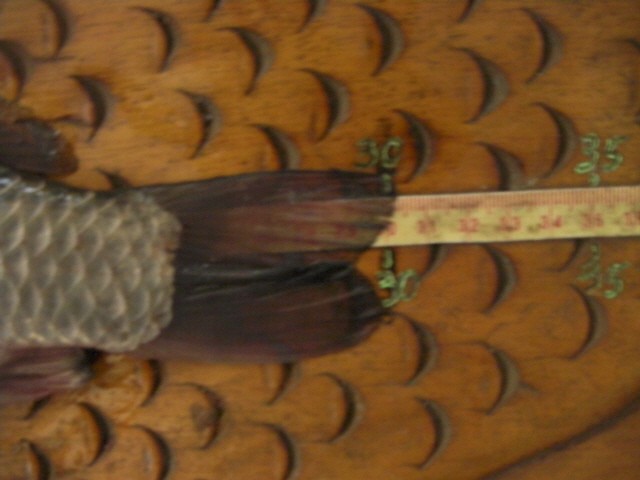 ũ�⺯ȯ_SANY0093.JPG