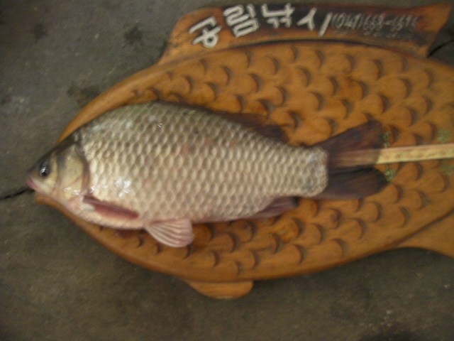 ũ�⺯ȯ_SANY0092.JPG