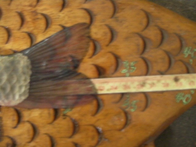 ũ�⺯ȯ_SANY0096.JPG