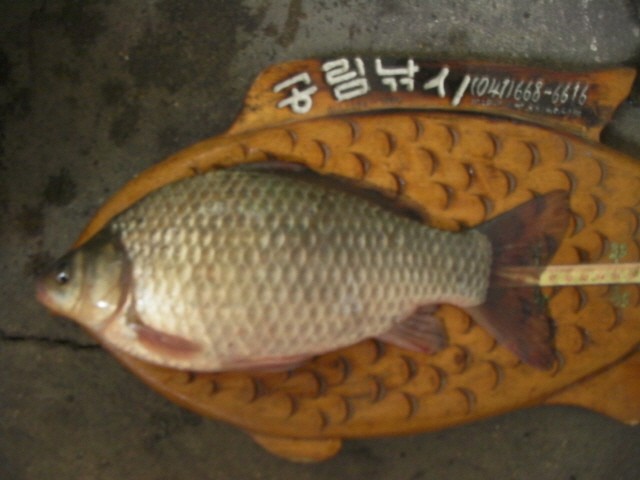 ũ�⺯ȯ_SANY0095.JPG