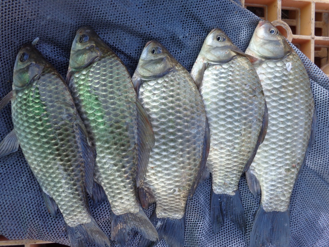 DSC02893.JPG