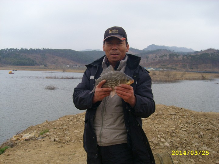 STP64571.jpg