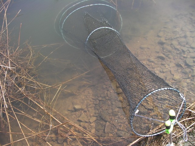 ũ⺯ȯ_SANY0040.JPG