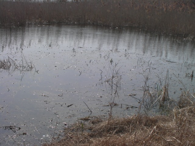ũ⺯ȯ_SANY0048.JPG