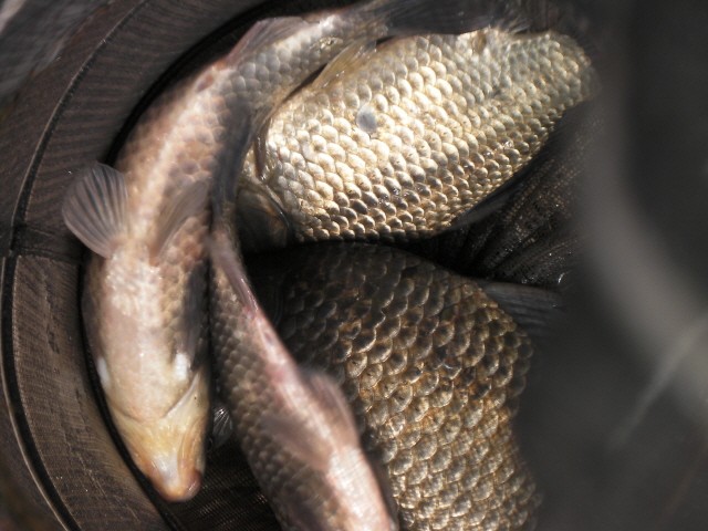 ũ⺯ȯ_SANY0049.JPG