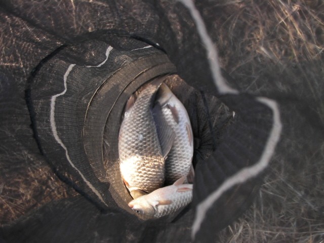 ũ⺯ȯ_SANY0057.JPG