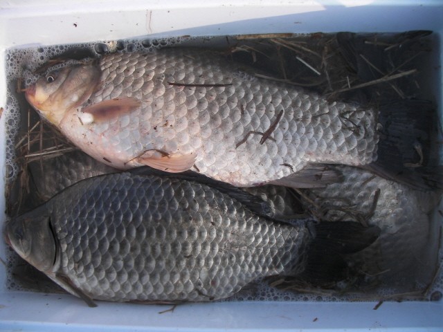 ũ⺯ȯ_SANY0069.JPG